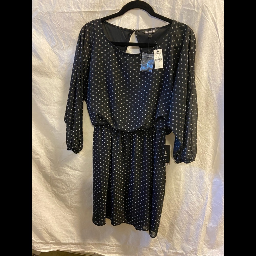 Express sheer dress